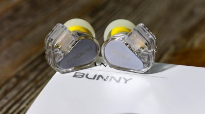 TANCHJIM Bunny Type-C DSP Plug with Mic IEM