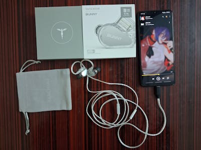 TANCHJIM Bunny Type-C DSP Plug with Mic IEM