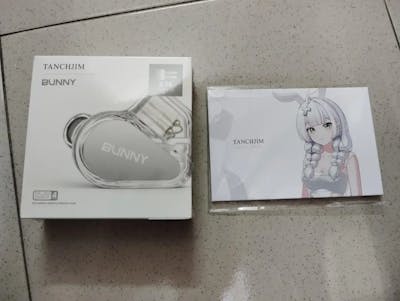 TANCHJIM Bunny Type-C DSP Plug with Mic IEM