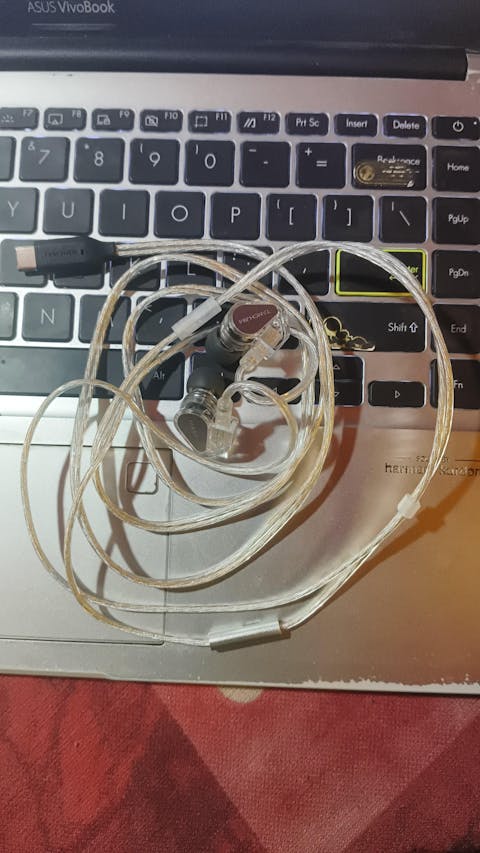 TANCHJIM Bunny Type-C DSP Plug with Mic IEM