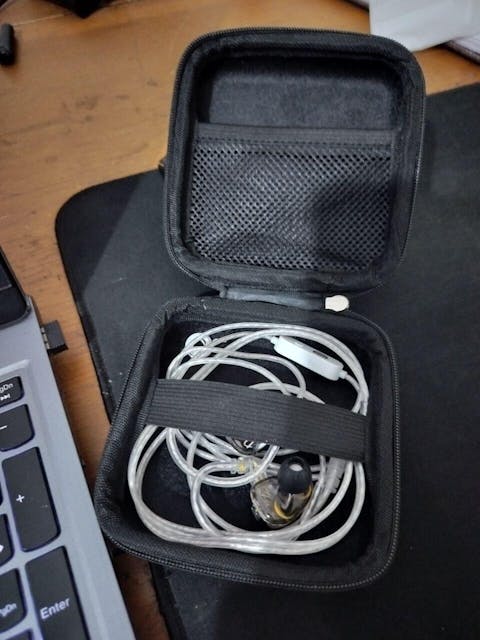 EarAudio In-Ear Monitors (IEM), Earphones Carry Case