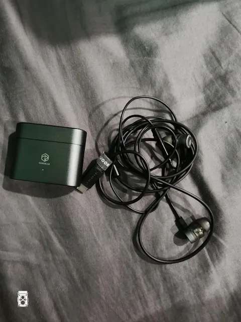 MOONDROP Marigold Type-C Earphone With Microphone