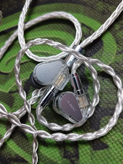 TANCHJIM Bunny Type-C DSP Plug with Mic IEM