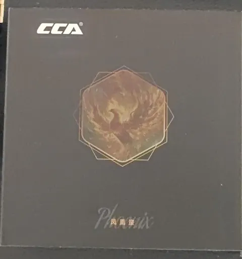 CCA Phoenix IEM