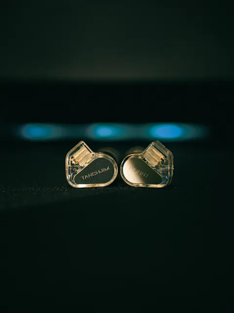 TANCHJIM Bunny Type-C DSP Plug with Mic IEM