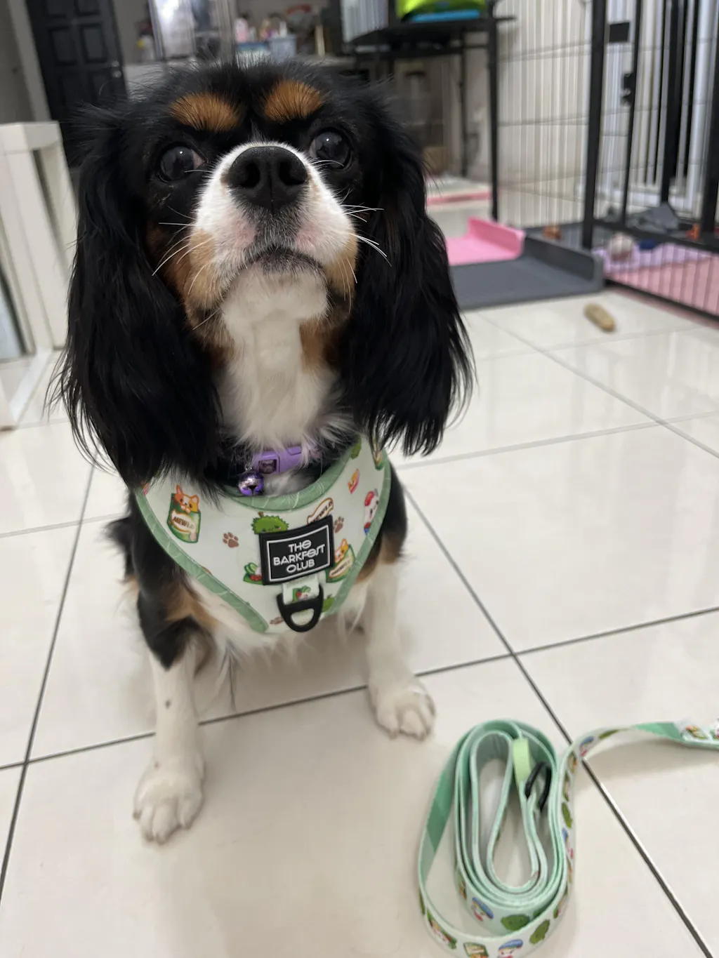 THE MALAYSIAN FOODIE | Bundle