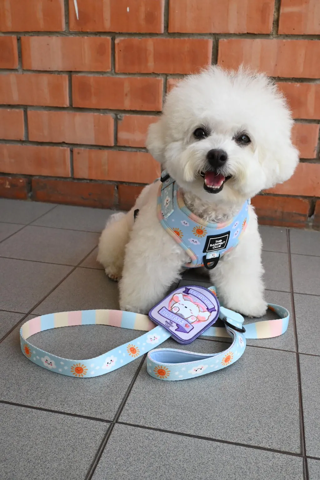 I REALLY LOVE HUMANS | Attachable Patch (S)