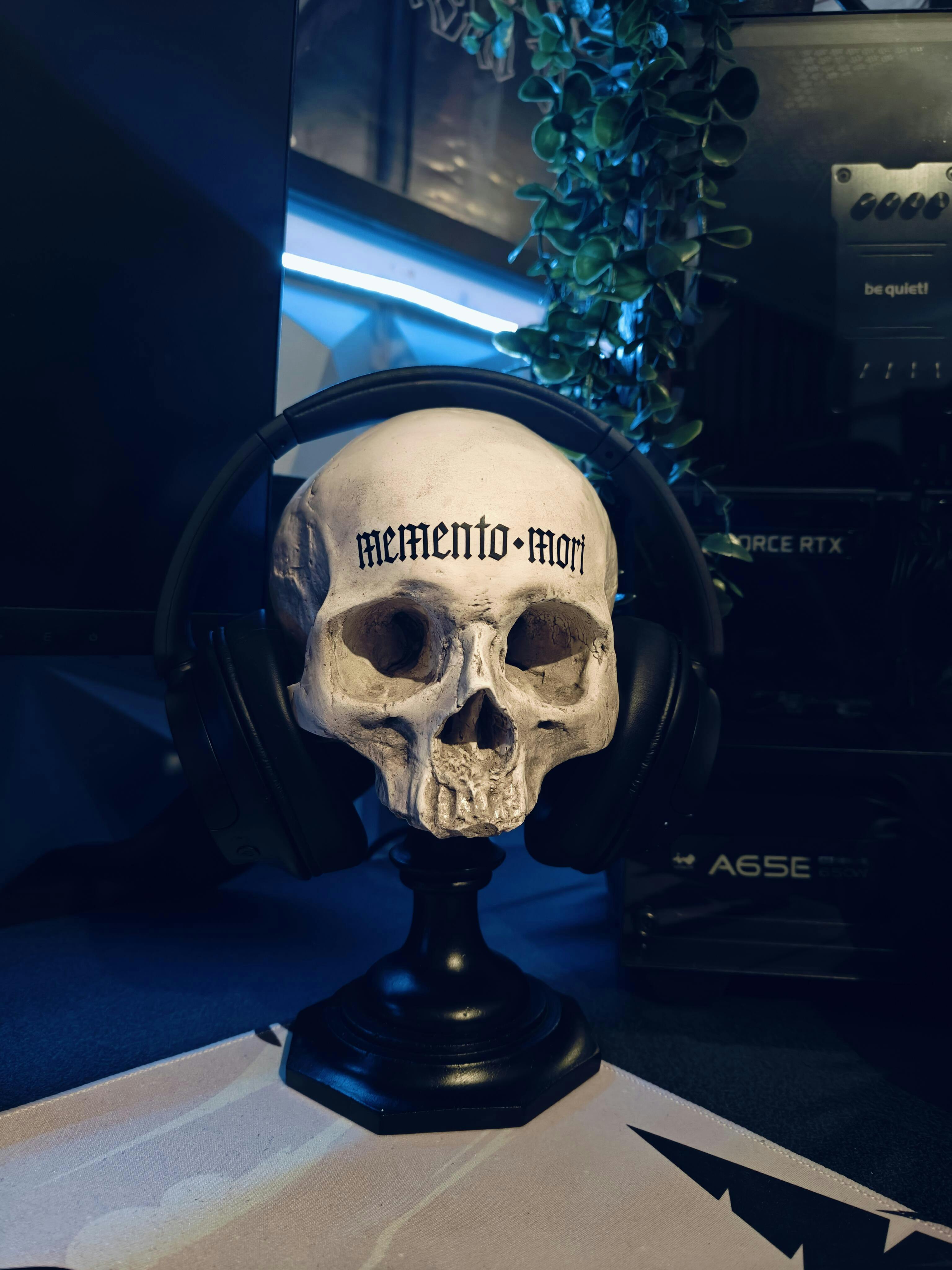 Skull of Jane Doe Plinth - Memento Mori Edition – The Blackened