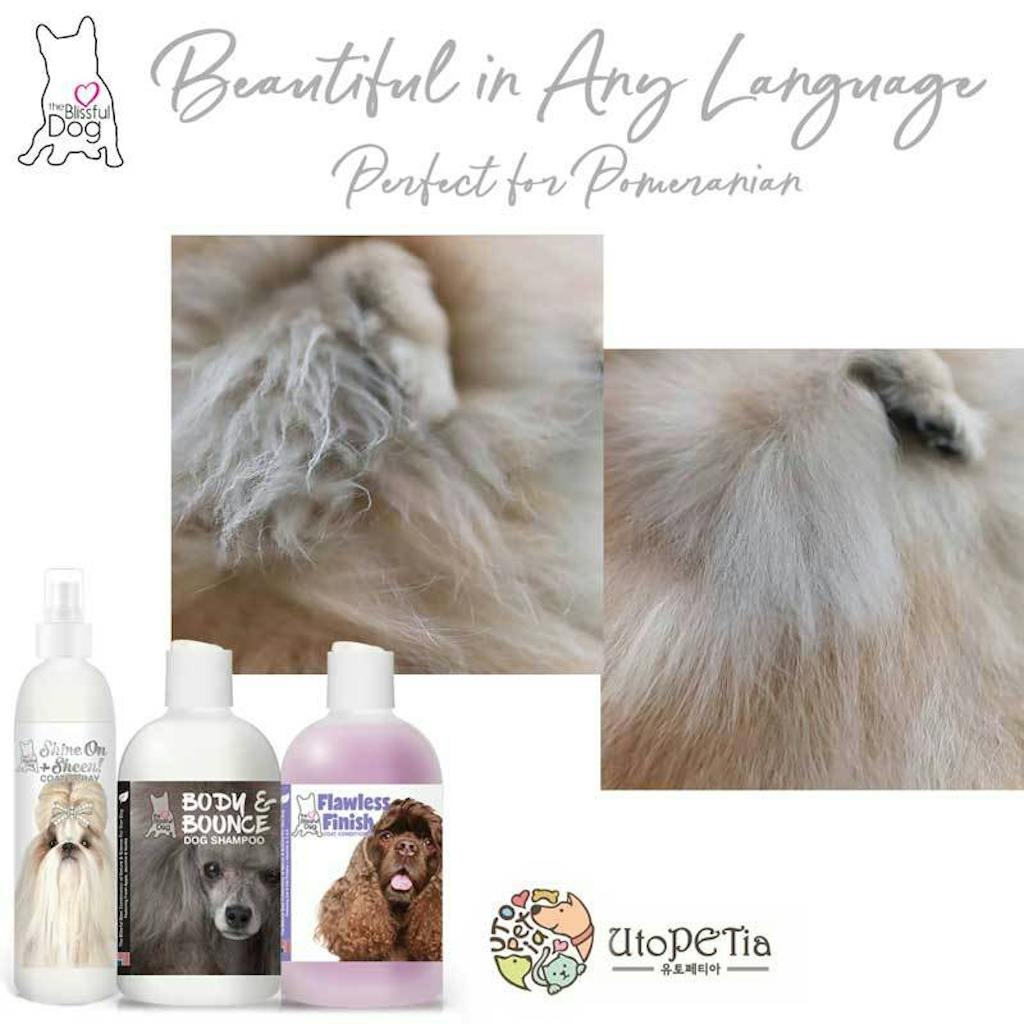 The Blissful Dog Leave In Conditioner Dog Coat Spray, DeTangler+Shine