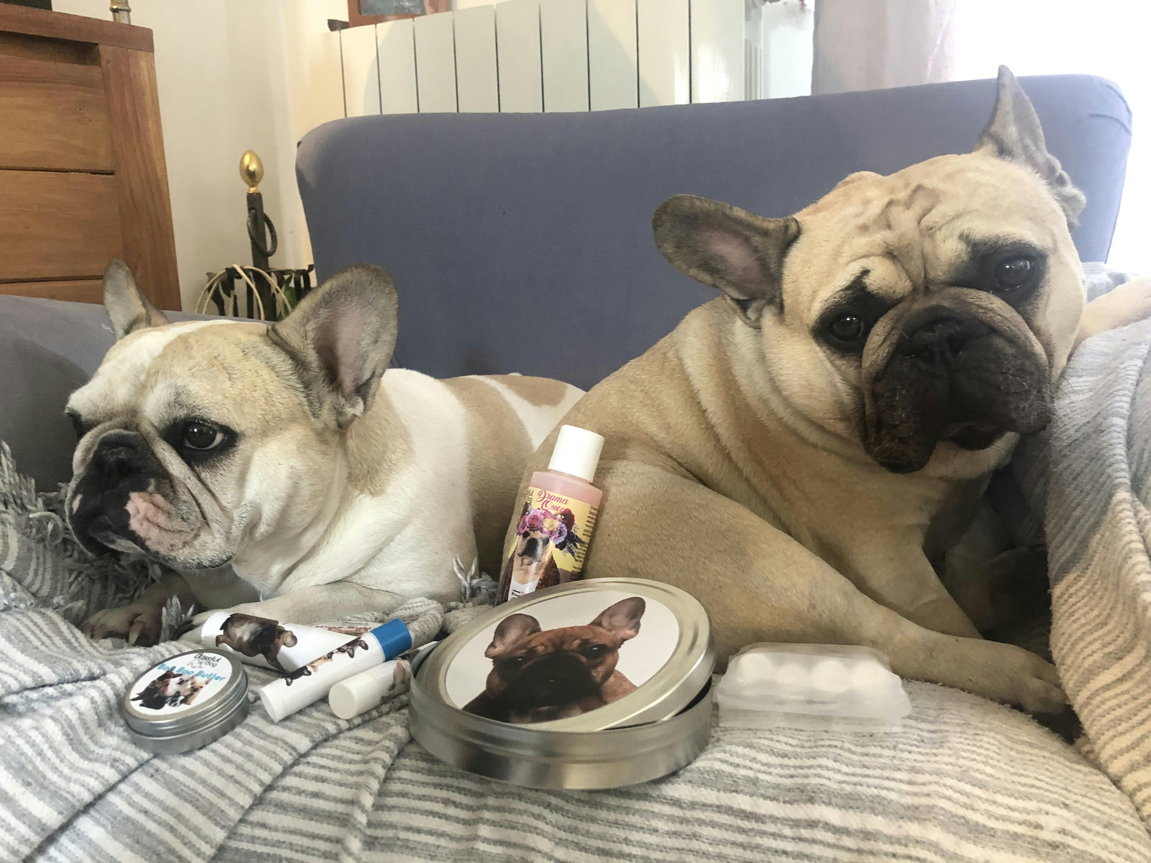 French Bulldog Nose Butter® Moisturizes Your Frenchies's