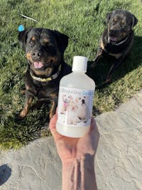 Gentle Touch Dog Shampoo