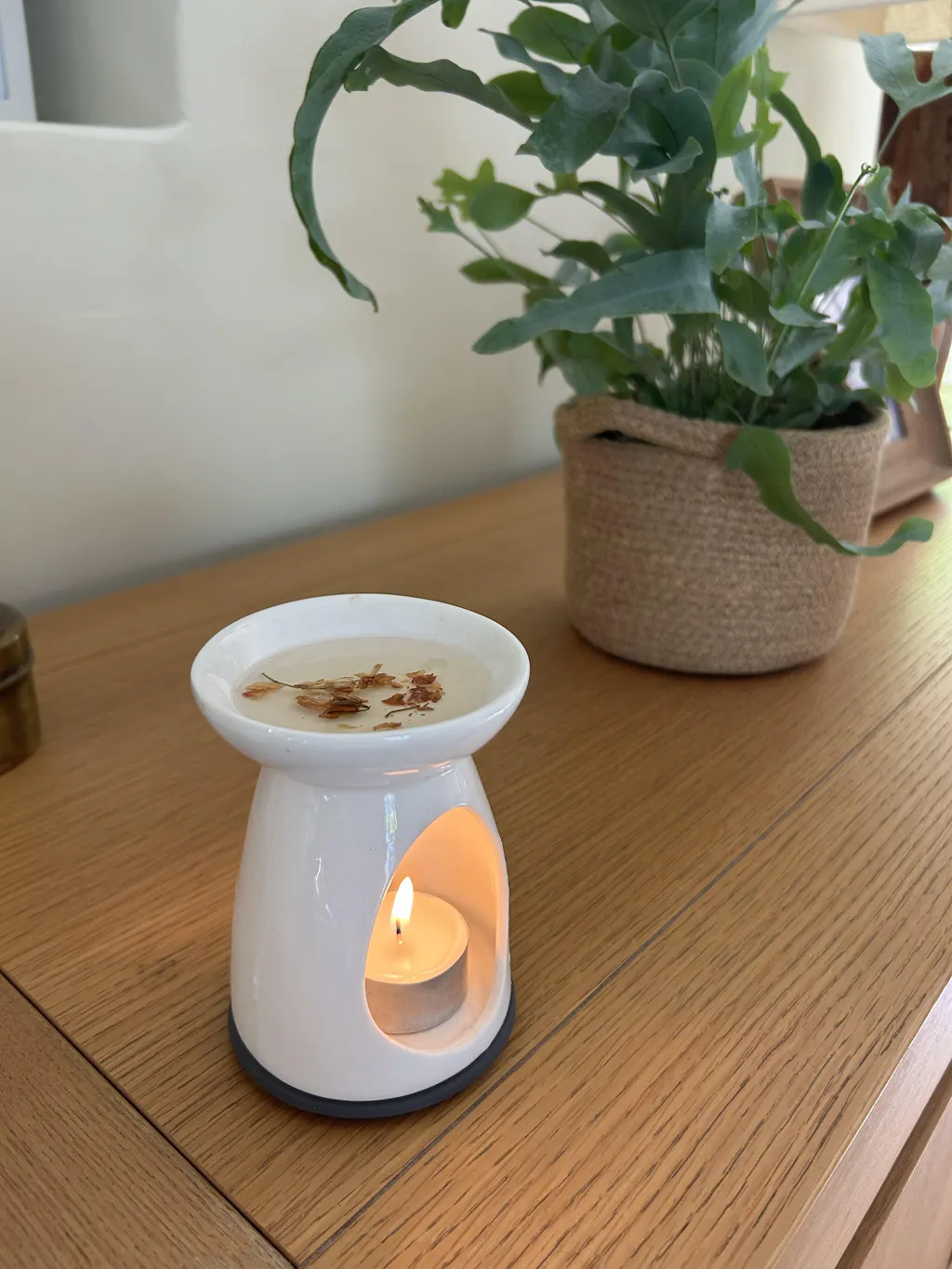 Jasmine with Gardenia Wax Melt Domes