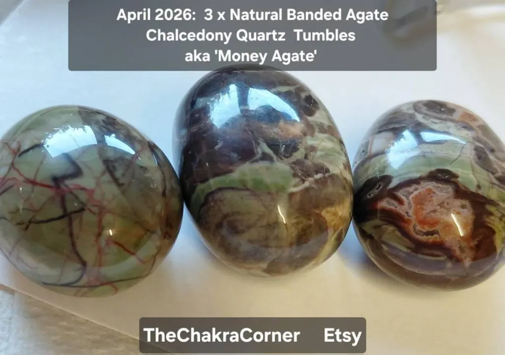 Money Agate Tumble Stones