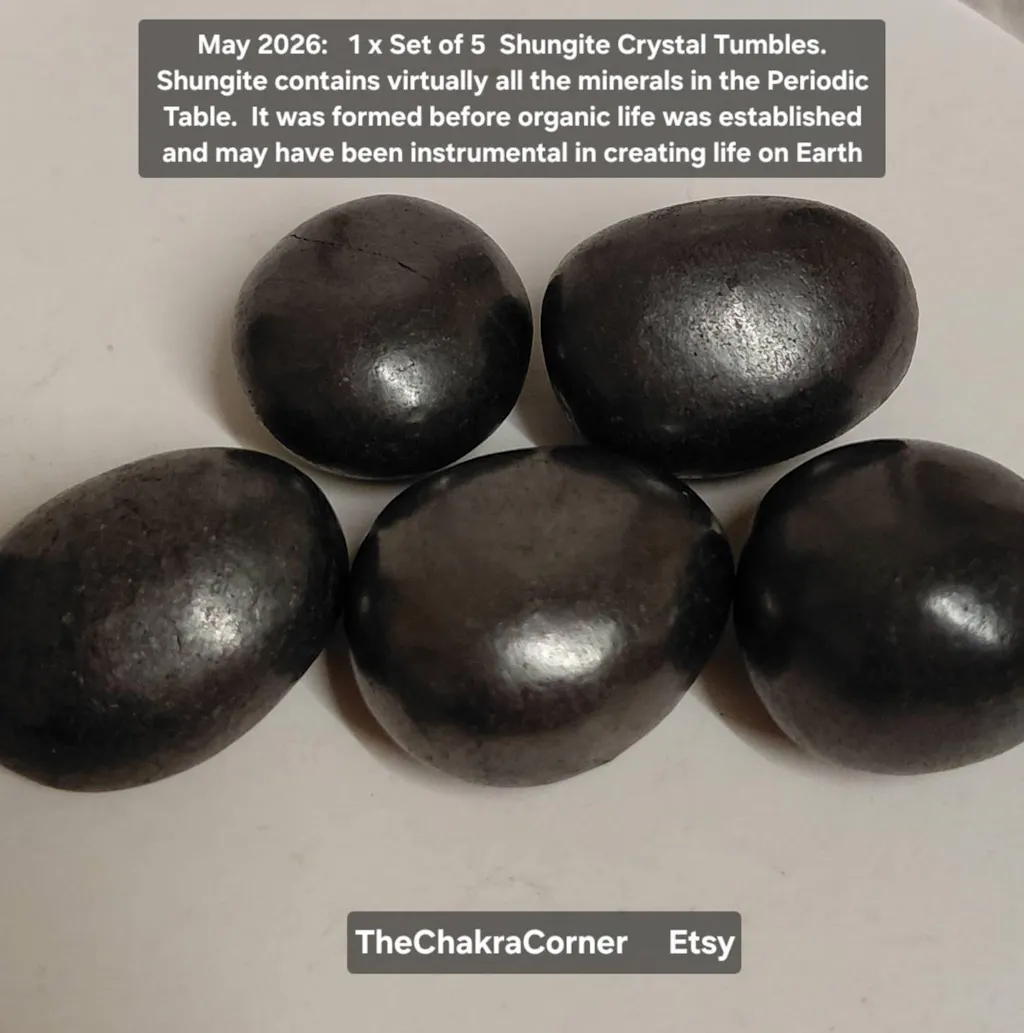 Shungite Crystal Tumbles x5