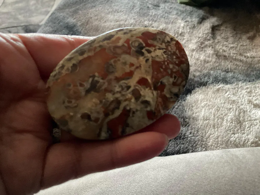 Money Agate Palm Stone