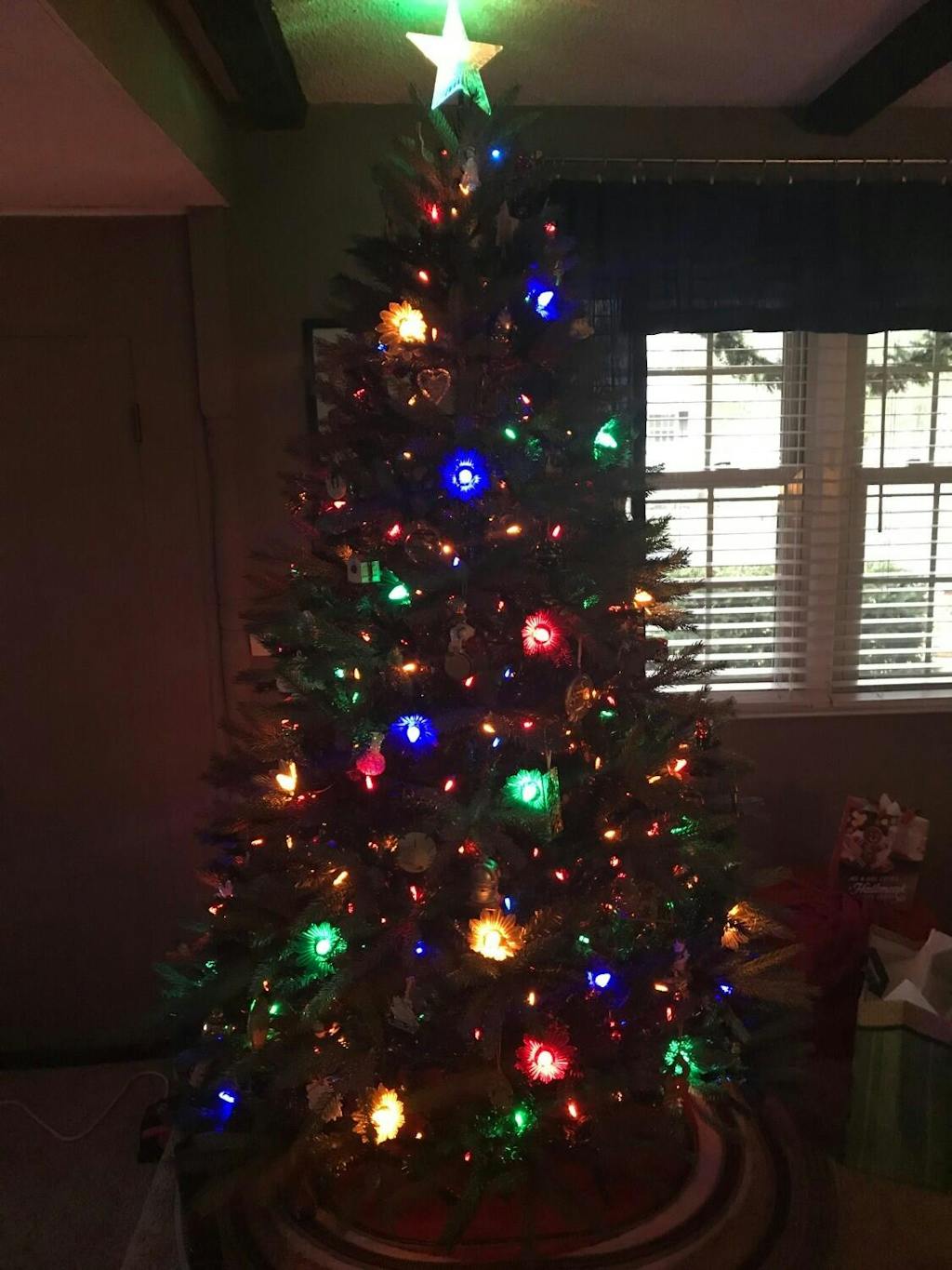 C7 Multicolor LED Christmas Light Bulbs, Opaque, Pack of 25 The Christmas Light Emporium