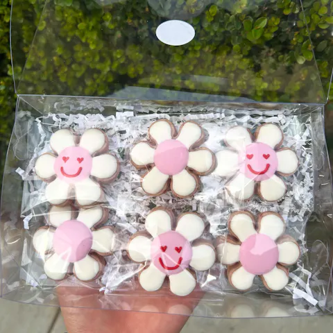 Clear Bags for Mini Cookies 2 1/2 x 8" - pack of 100