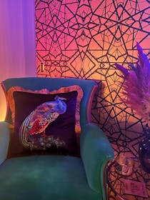 Velvet Cushion Cover Colorful Peacock Decorative Pillowcase Embroidery Decor Throw Pillow for Sofa Chair Black 45x45 cm 18x18 Inches
