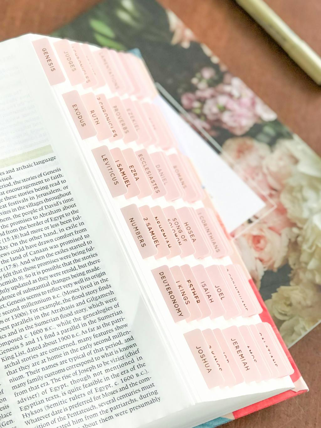Blush Bible Tabs The Daily Grace Co.