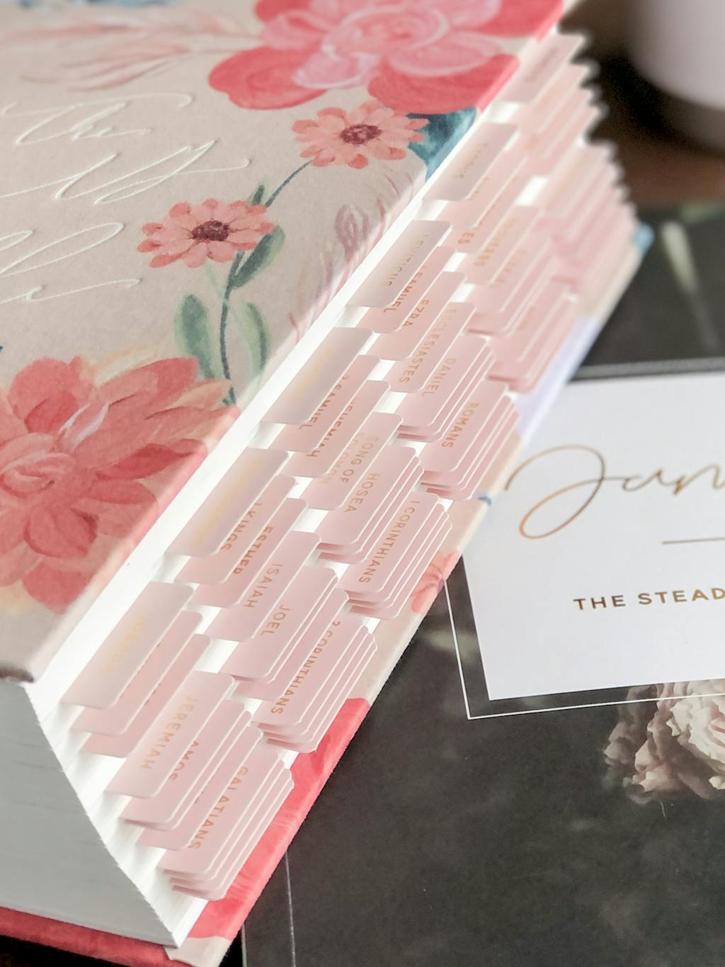 Blush Bible Tabs The Daily Grace Co.