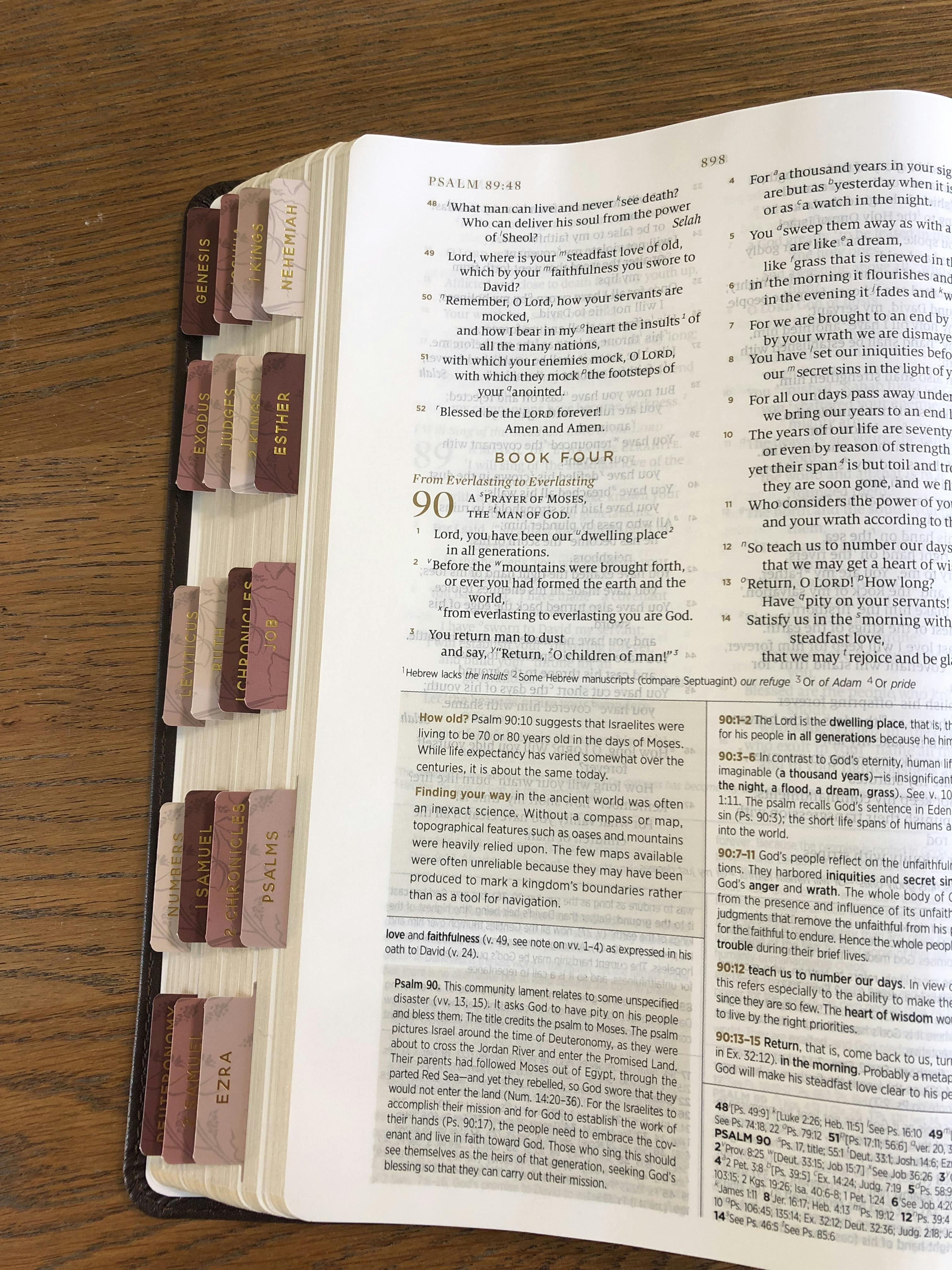 rose-floral-bible-tabs-the-daily-grace-co