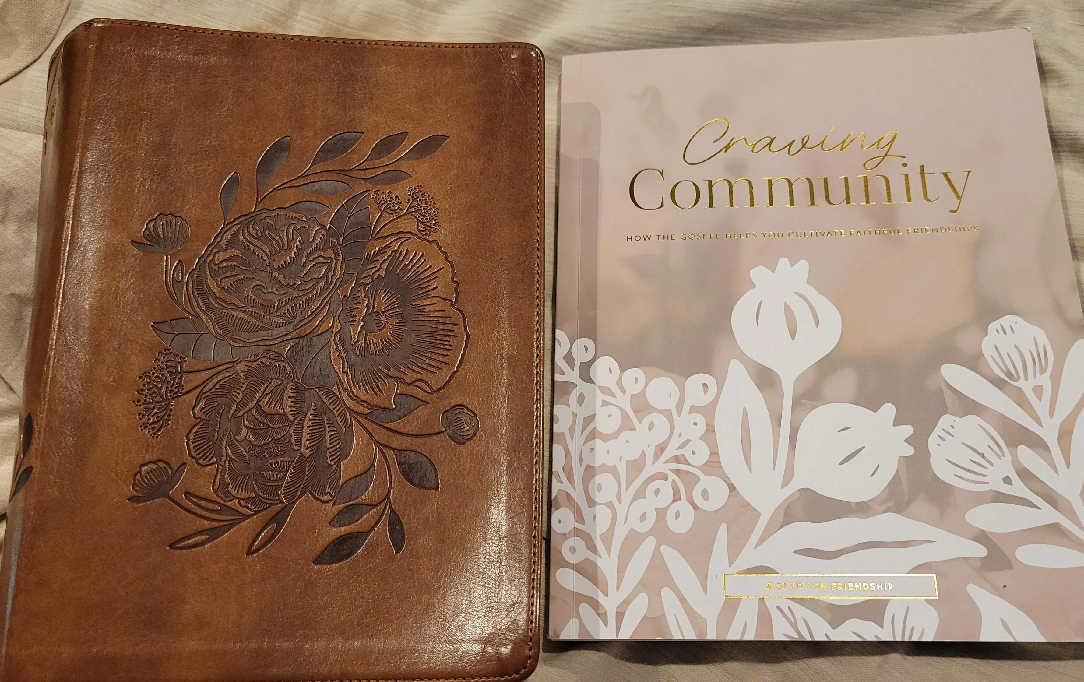 Craving Community | A Study on Friendship