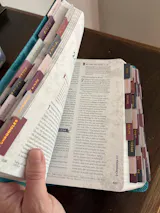 User picture