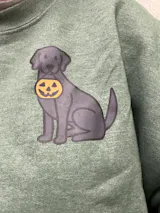 Mystery Sweatshirt