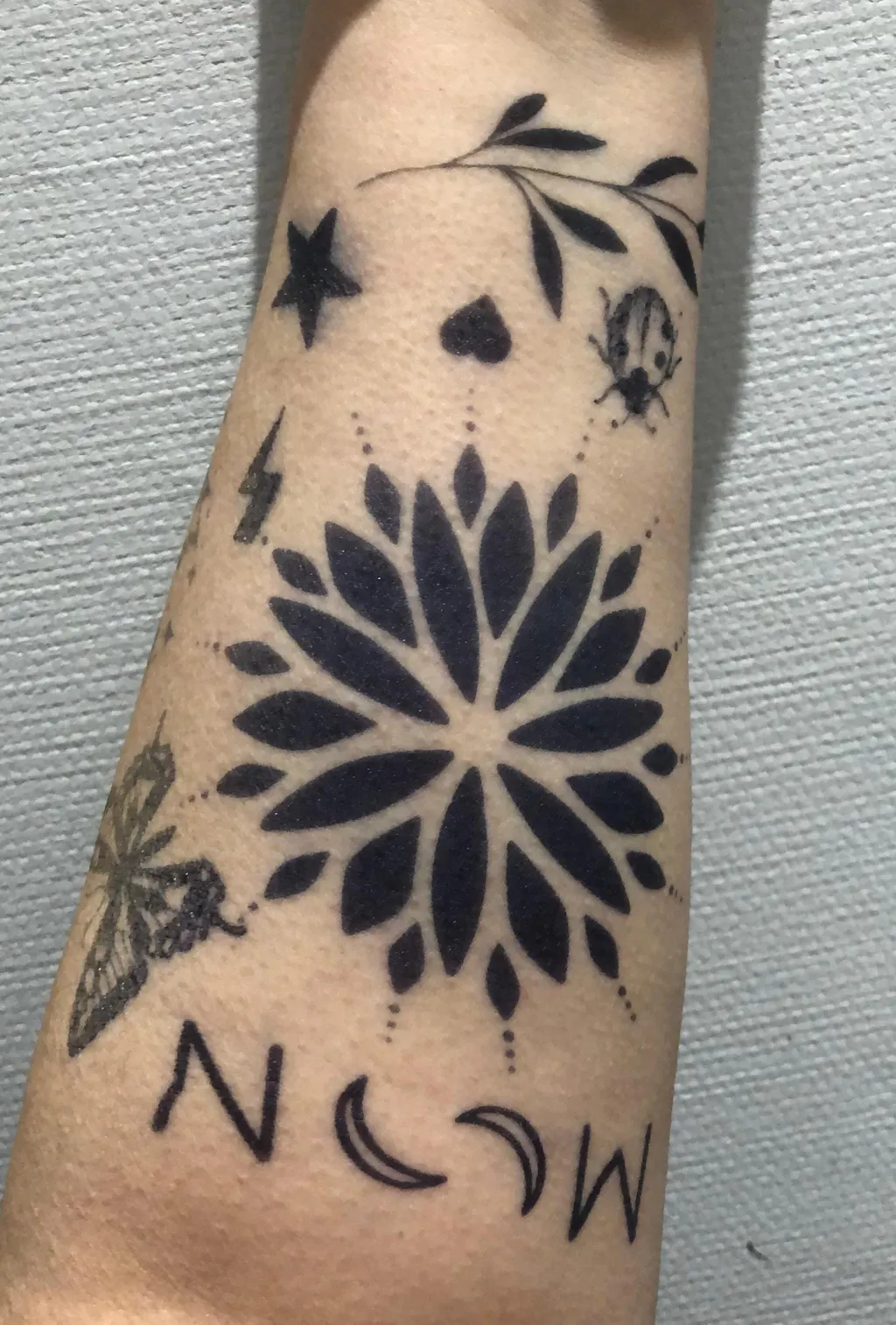 Flash-Tattoos | Friedlicher Zweig | Temporres Tattoo, das einen kleinen  Olivenzweig fr inneren Frieden darstellt  The Flash Tattoo