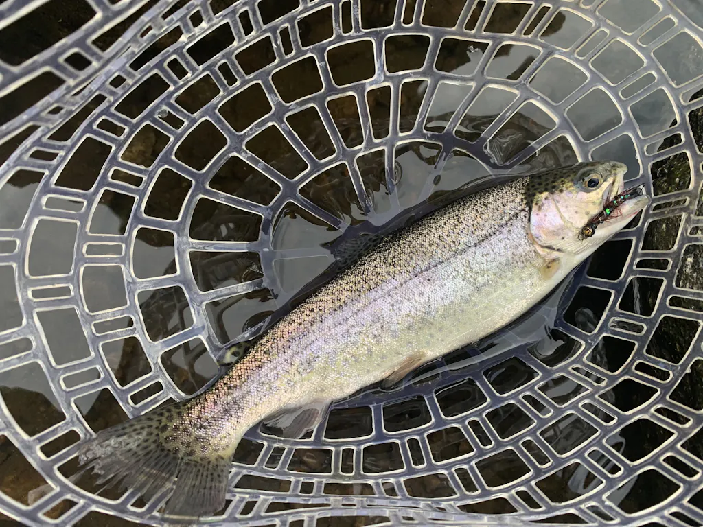 thin mint streamer