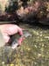 Mini Leech Jig