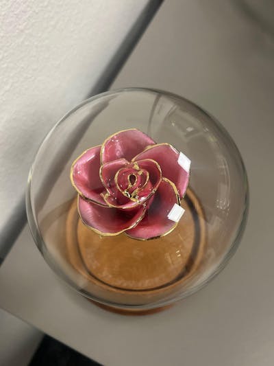 Custom Enchanted Rose - 24K Gold Forever Rose - Pink (OPEN BLOOM)