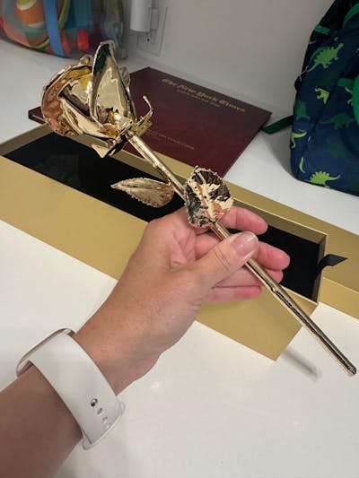 24K Gold Dipped Forever Rose