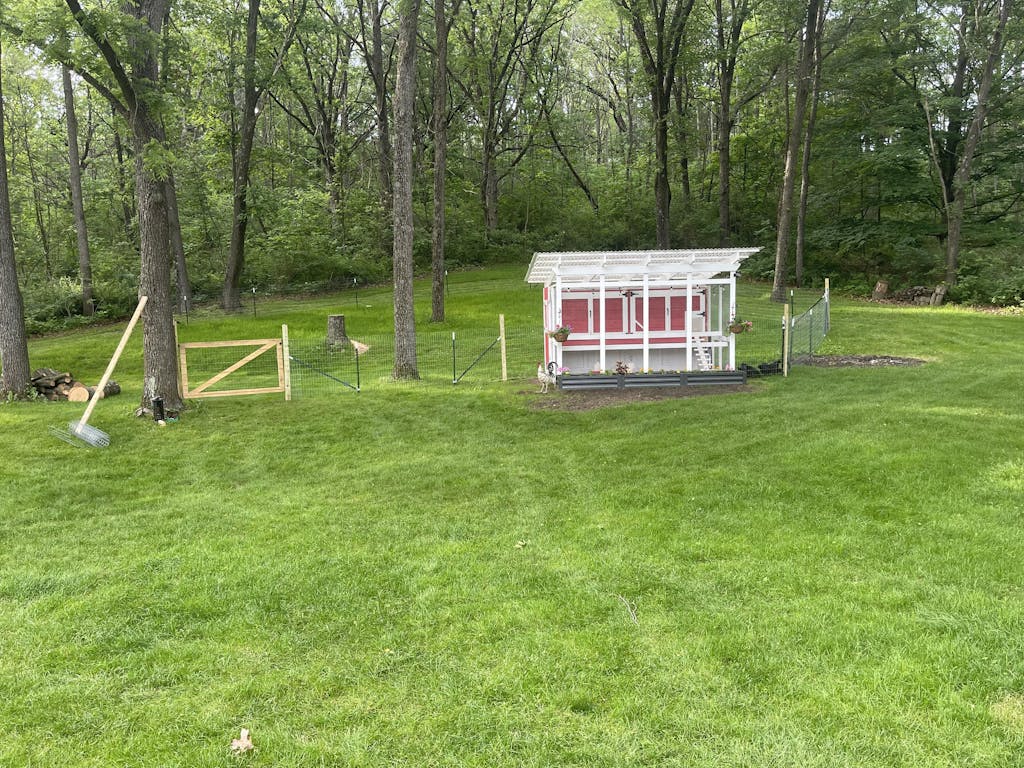 The Garden Loft Large WalkIn Chicken Coop Plans The Garden Coop