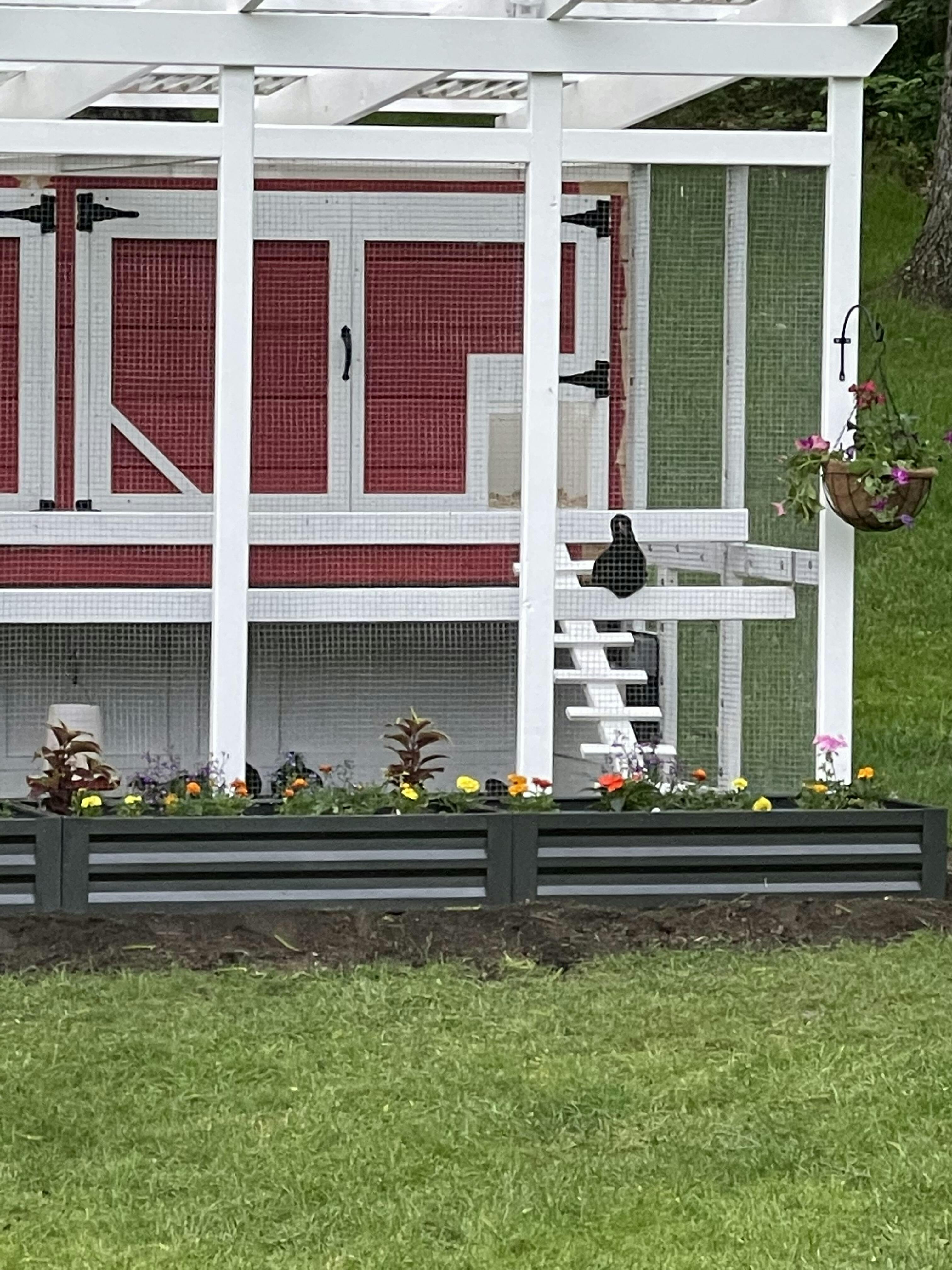 The Garden Loft Large WalkIn Chicken Coop Plans The Garden Coop