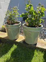 Heritage Pot Green