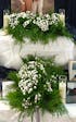 Plumosus Fern (Plumosa, Asparagus Fern) – 20 Stem Bunches | The Garland Guy