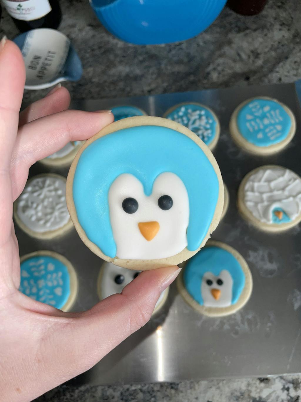beginner-winter-online-cookie-decorating-class-the-graceful-baker-shop
