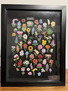Review picture