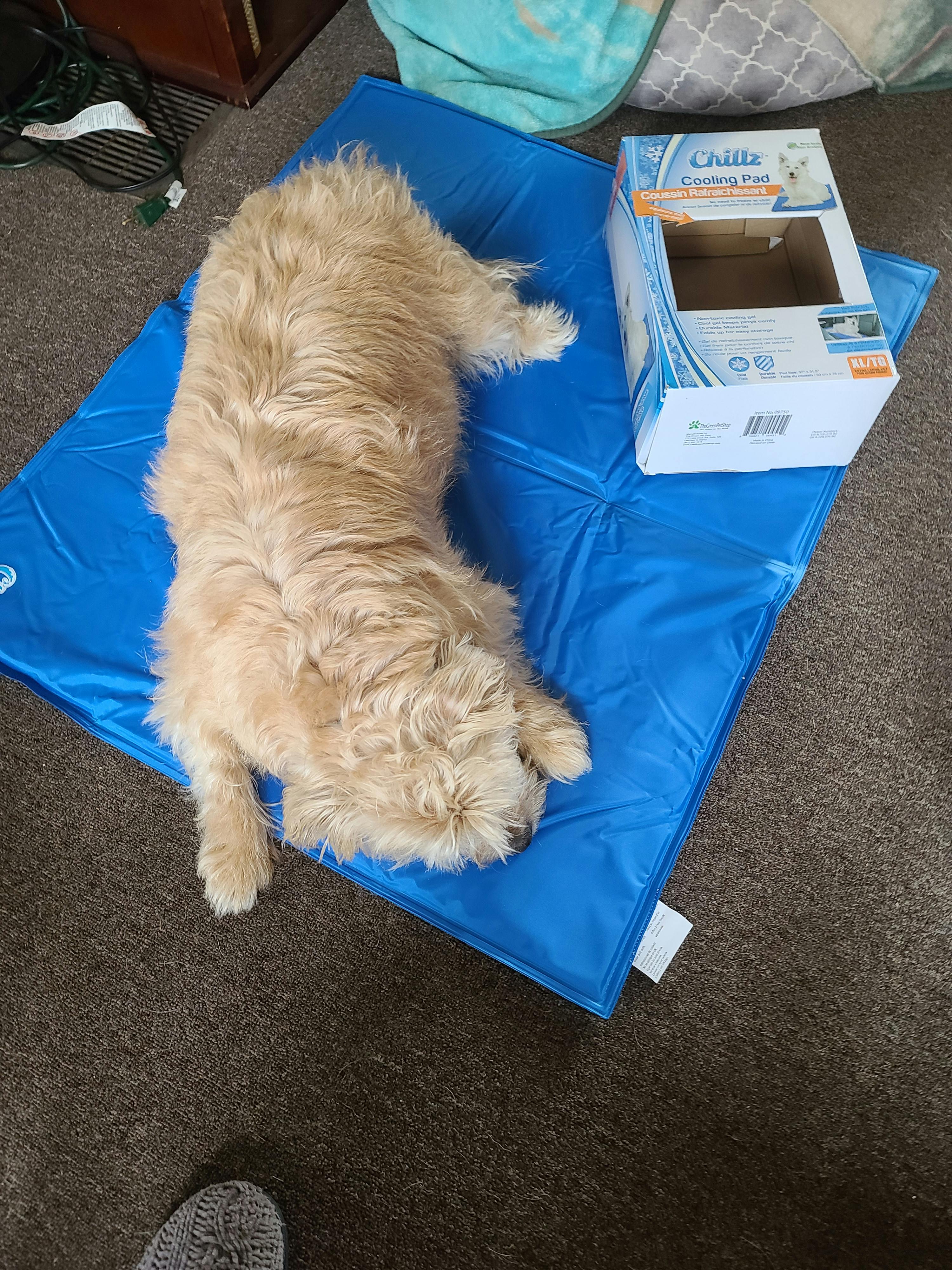 chillz cooling pad