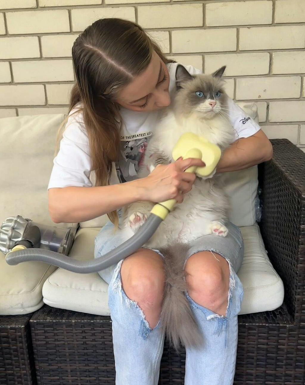 GROOMI™ 3-In-1 Vacuum Pet Brush