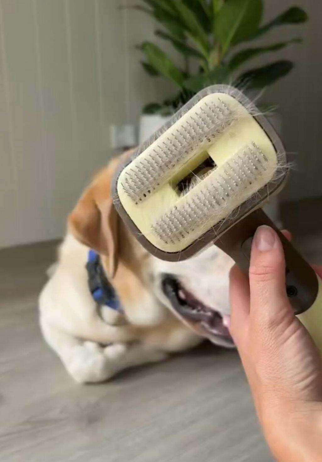 Ultimate GROOMI™ Bundle