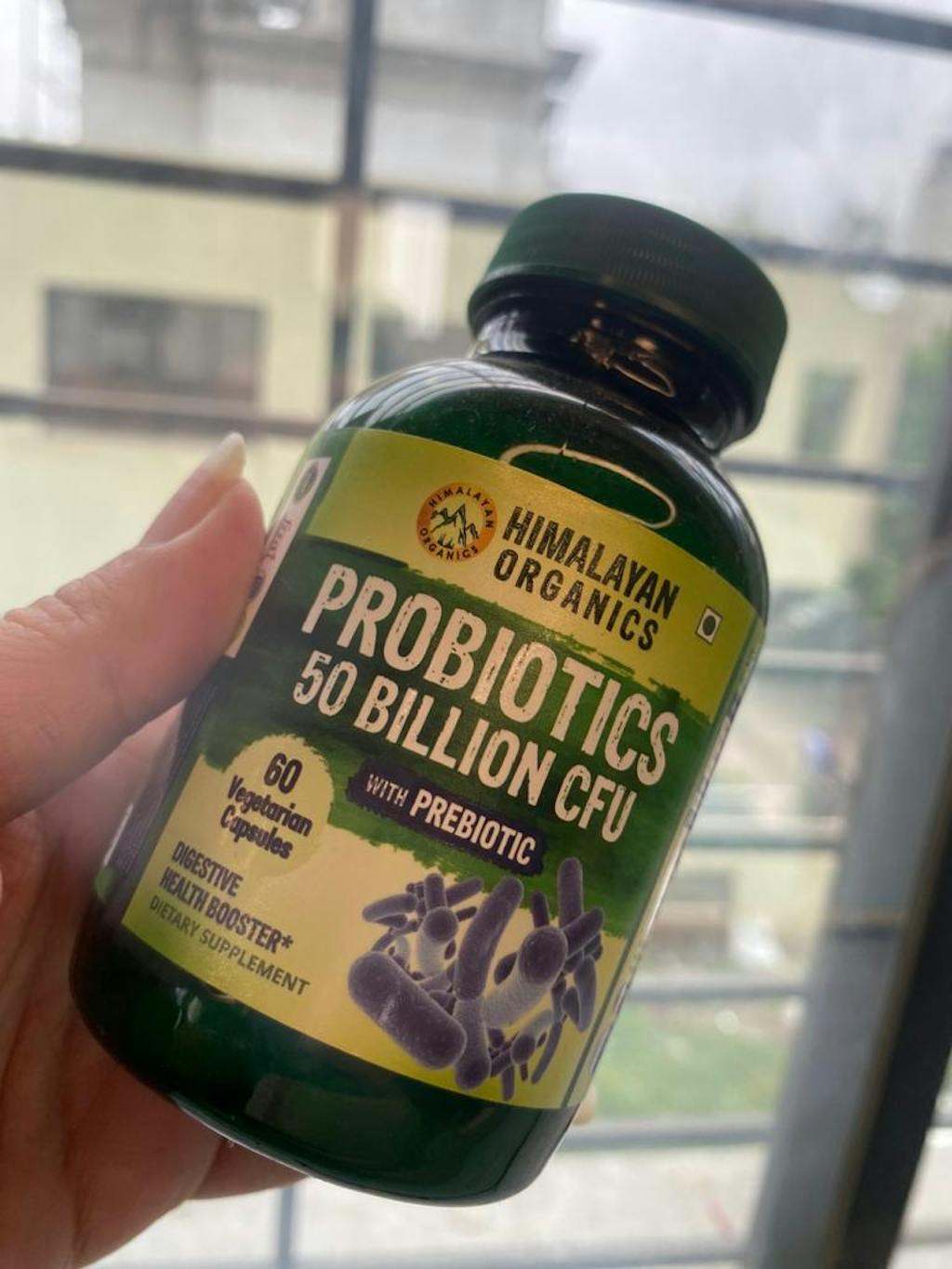 Probiotics Supplements Best for Maintaining Smooth Functioning of Gut ...