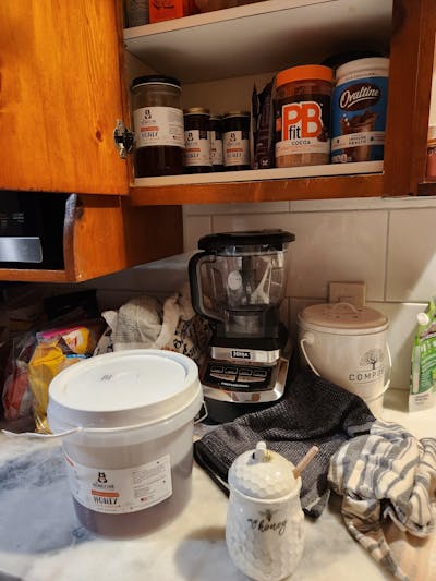 Orange Blossom Honey - Raw and Unfiltered Bulk - 1 gallon (12lbs)