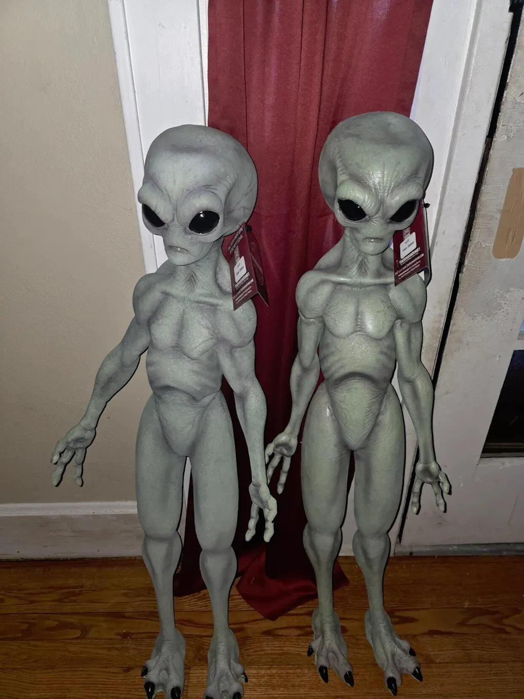 ［レア美品］Area51 / The Alienist NEW 2025 