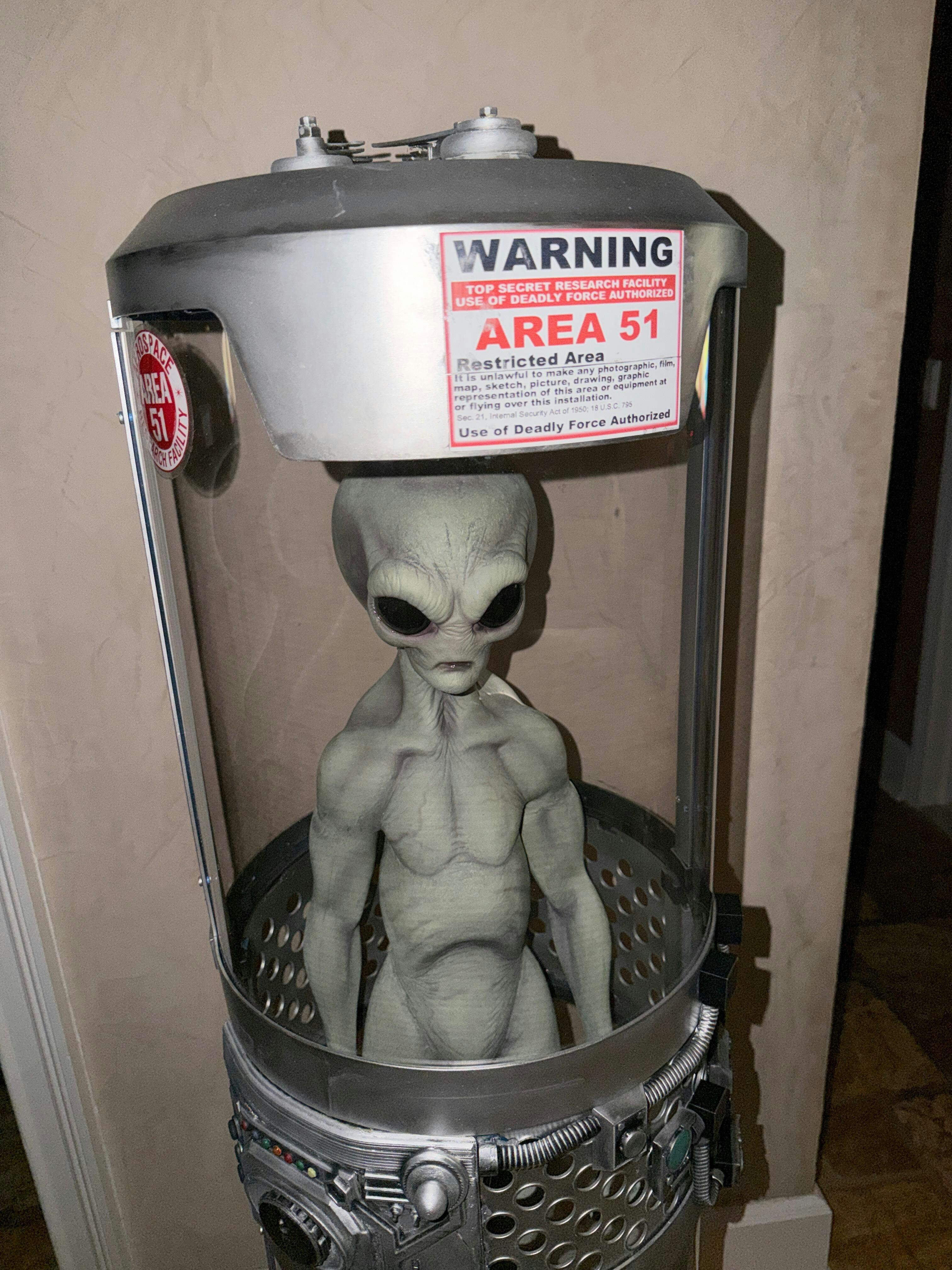 【一点物/SALE】Famous Alien-エリア51の実験台へ-【現代アート NEW 2025 
