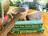 Green Tara Prayer Incense | Tibetan Incense | 21 sticks | Himalayan Arts
