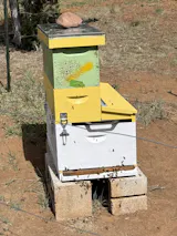 One Queen Keeper - Single Brood Box