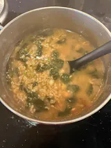The Lentil Hub