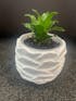 White Glazed Cement Pot- Medium